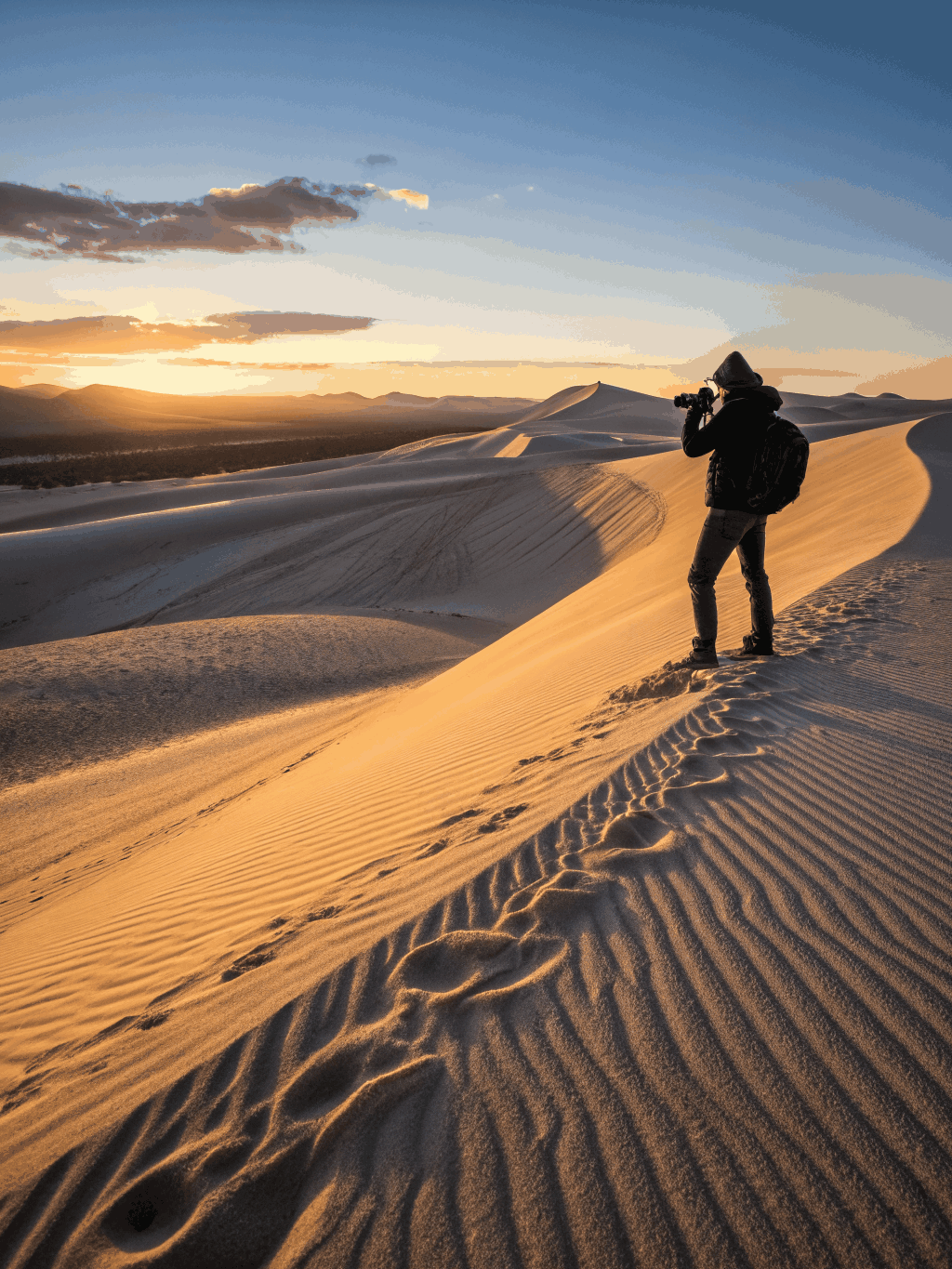 Desert Safaris